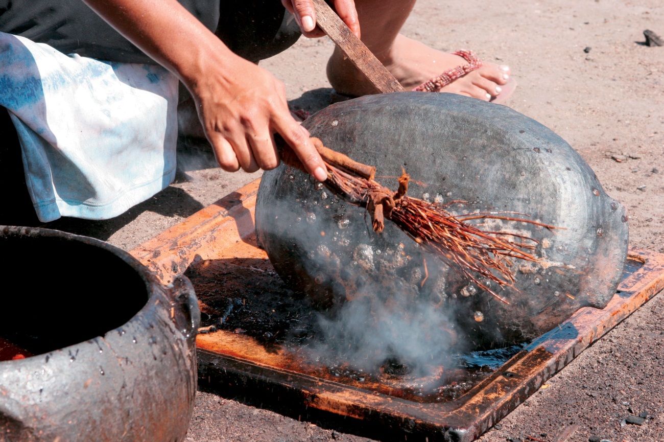 panela1