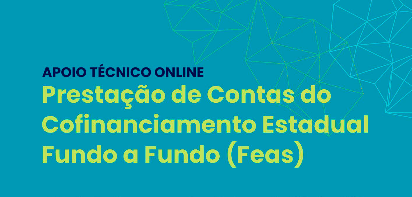 Assessoramento-tecnico-FEAS-foto