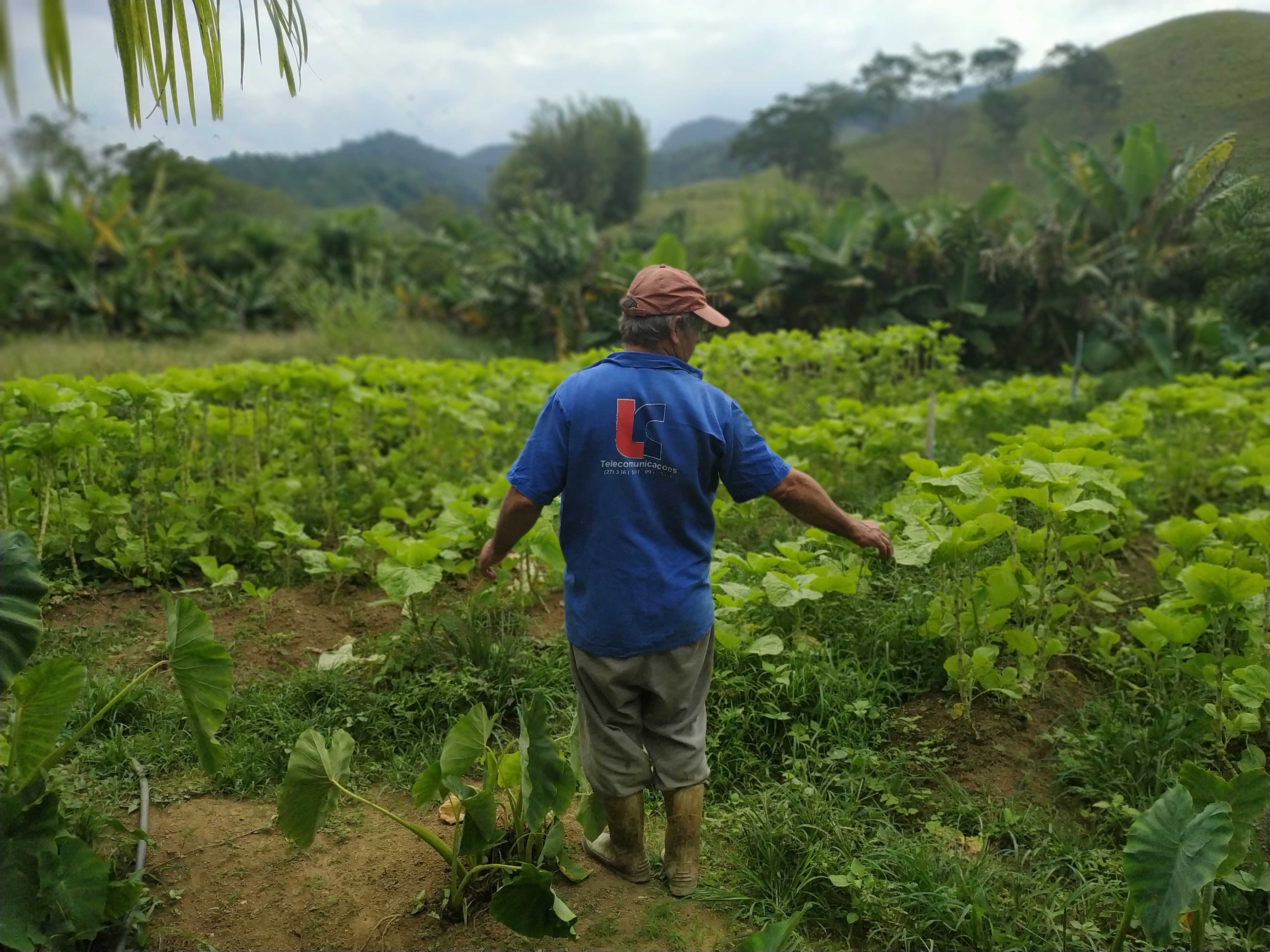 CDA---Guarapari---Agricultor|||Fotógrafo:Arquivo GSAN | Setades